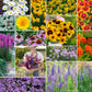 northeast all perennial wildflower mix