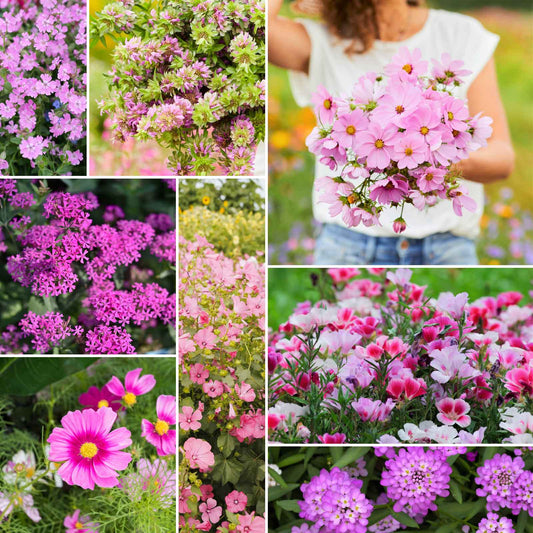 pretty in pink wildflower mix