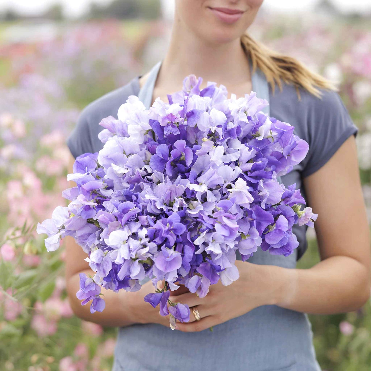 sweet pea blue mix