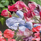 sweet pea streamer mix