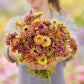 zinnia queeny lime mix