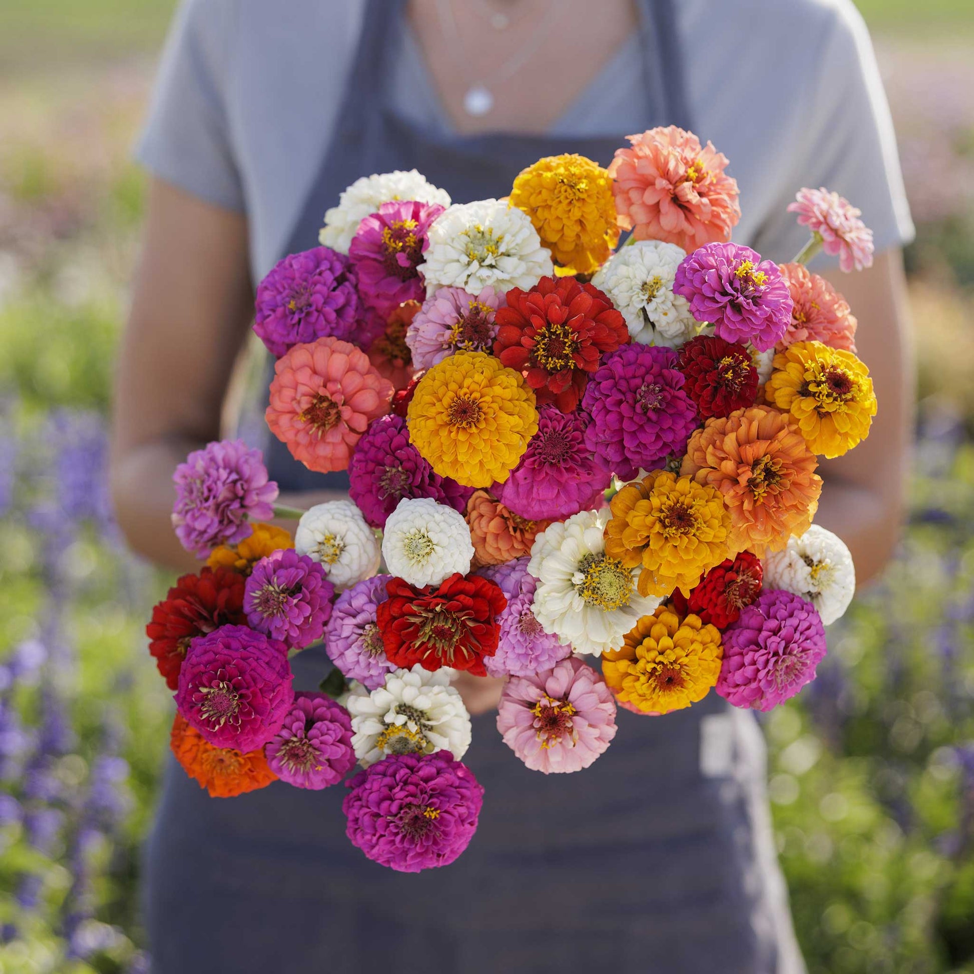 zinnia sprite mix