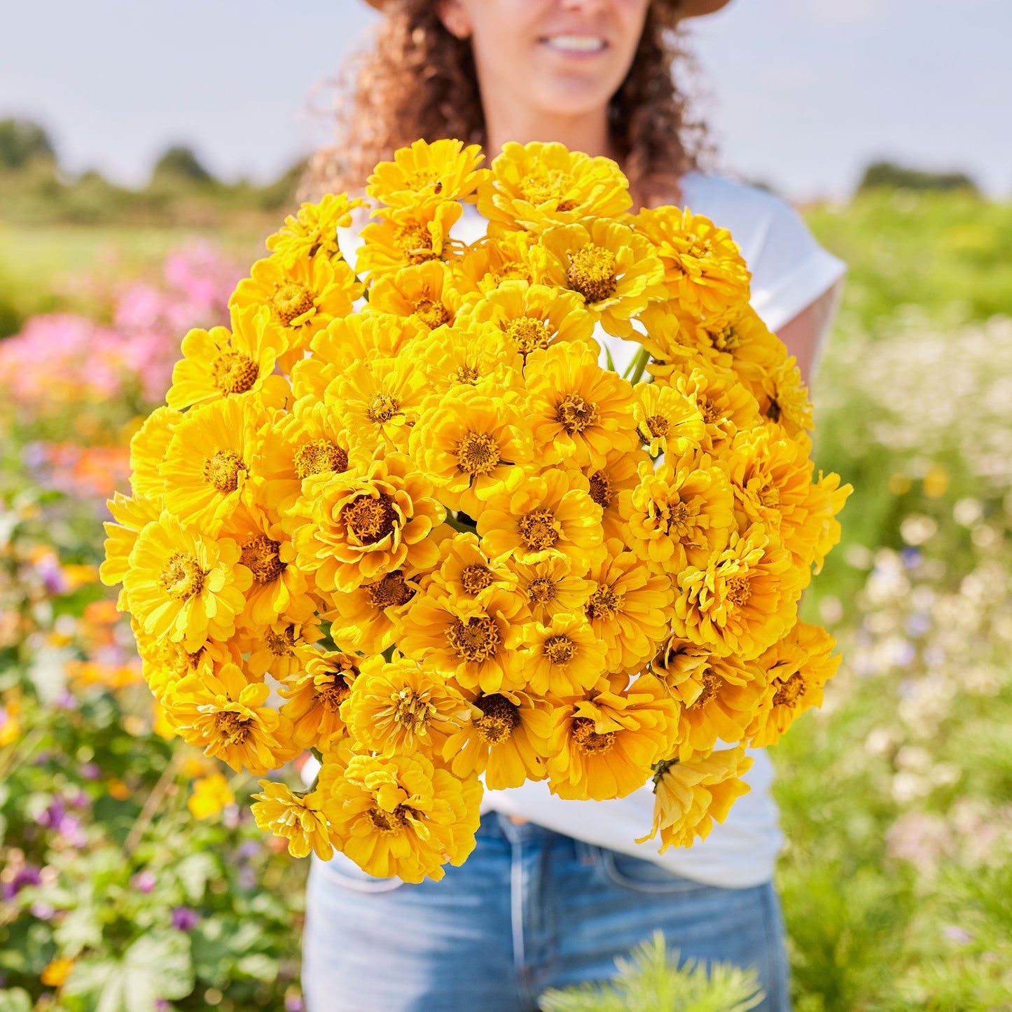 zinnia golden state